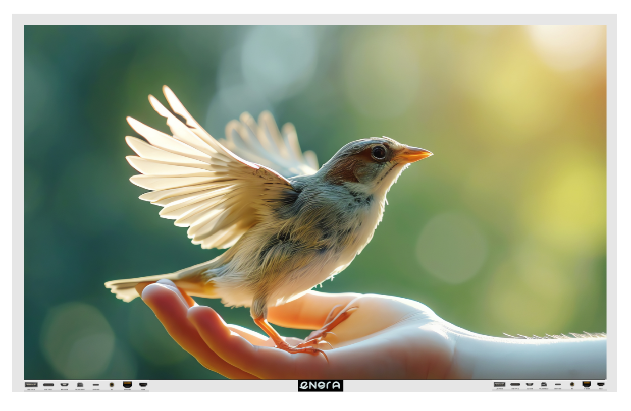 Untitled design (10)